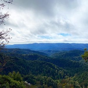 Meet your Posher, Taly